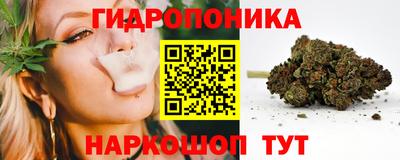 трава Будённовск