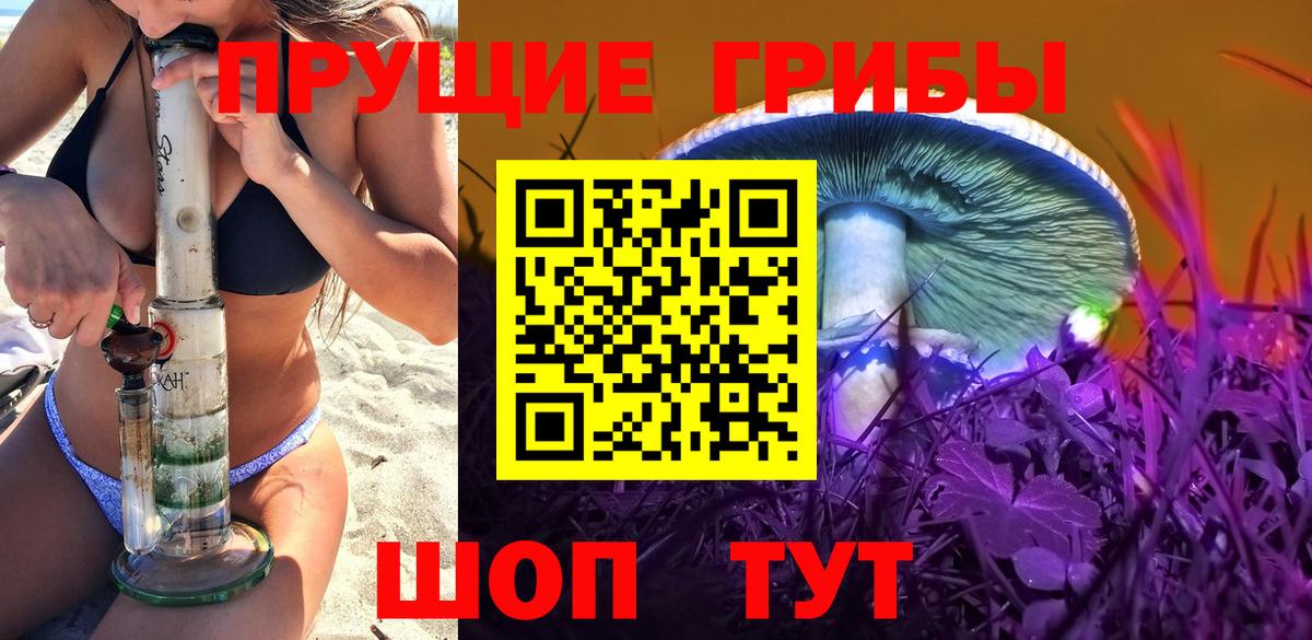 Псилоцибиновые грибы Psilocybe Лесной