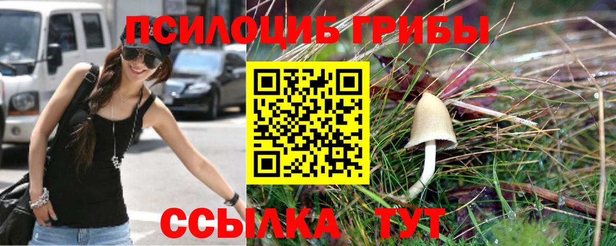 Галлюциногенные грибы мухоморы  Вход с VPN  Лесной 